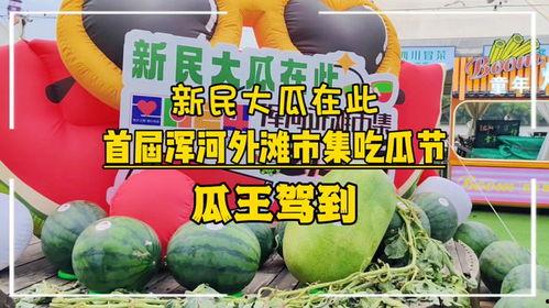 吃瓜王第三季全集免费,揭秘娱乐圈风云,免费观看全集大揭秘 第2张 吃瓜王第三季全集免费,揭秘娱乐圈风云,免费观看全集大揭秘 第2张